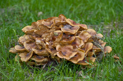 2025-10-25 Groene Heuvels 3D-45