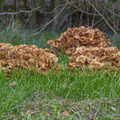 2025-10-25 Groene Heuvels 3D-43