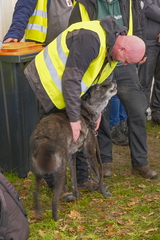 2025-10-25 Groene Heuvels 3D-1-2